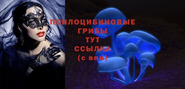 шишки Навашино