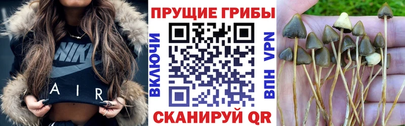 Купить  Зима  Галлюциногенные грибы прущие грибы 